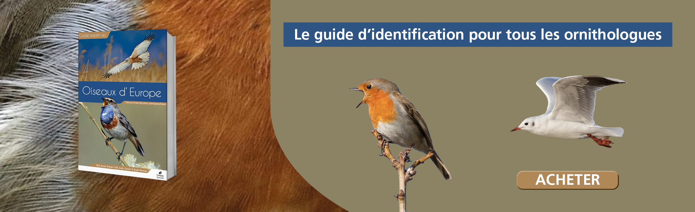 Guide expert des oiseaux d'Europe
